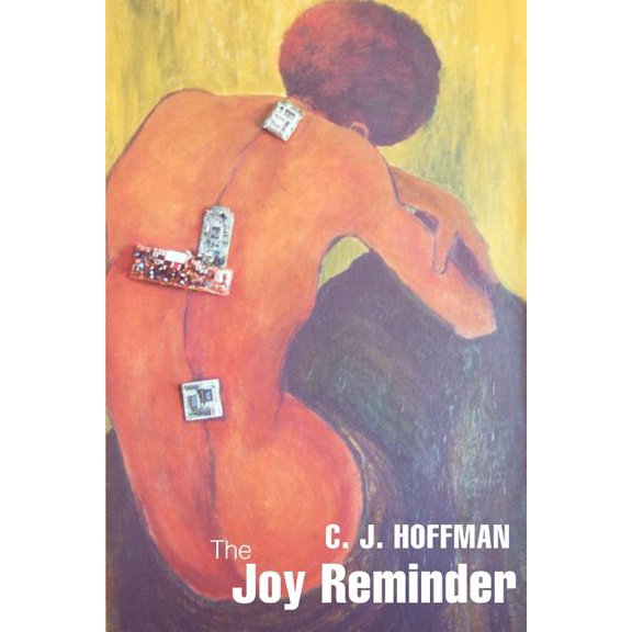 The Joy Reminder (Paperback)