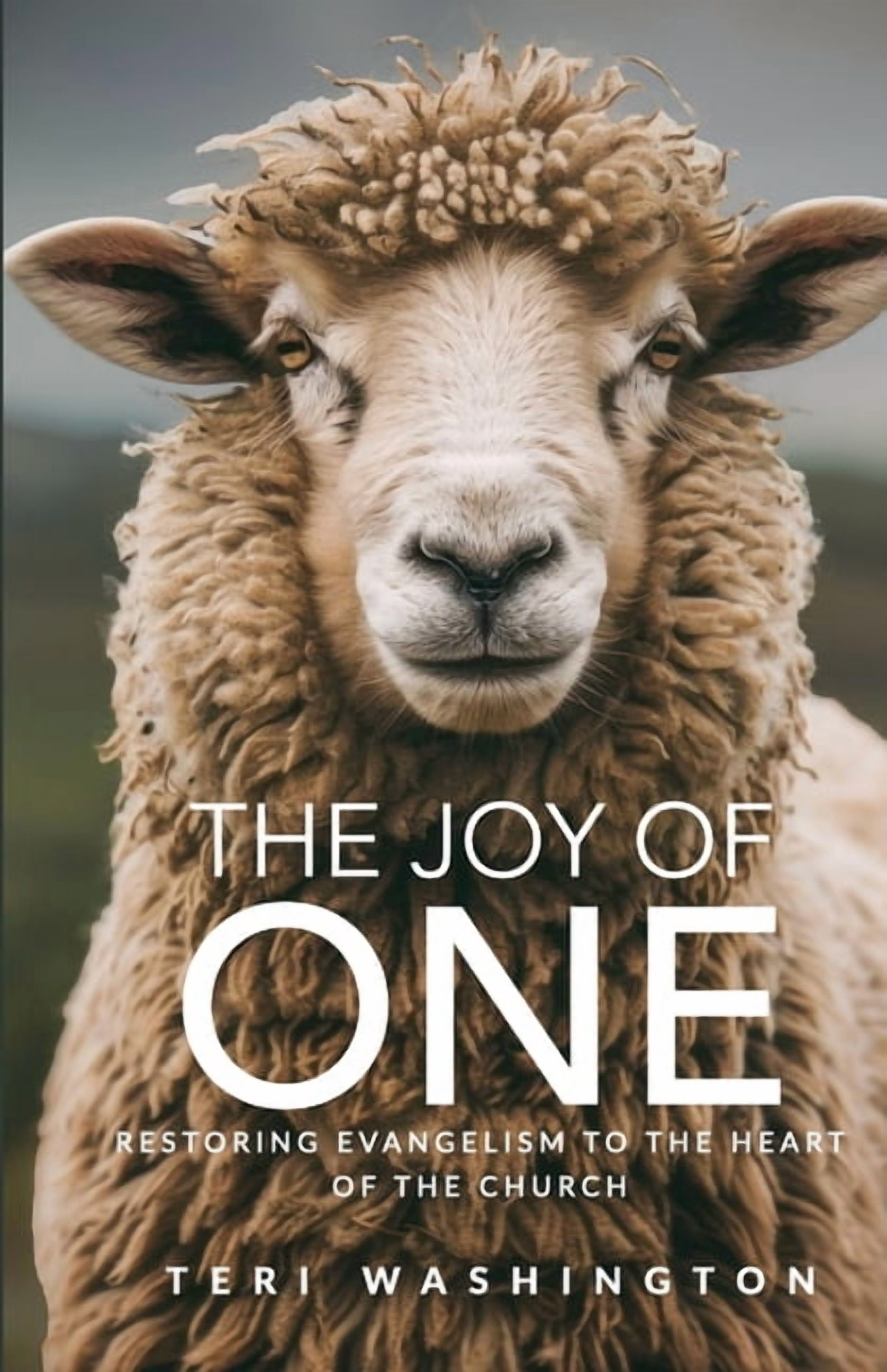 The Joy of One: Restoring Evangelism to the Heart of the Church, (Paperback)