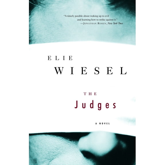 The Judges : A Novel (Paperback)