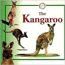 Pre-Owned The Kangaroo (Life Cycles (Raintree Paperback)) Paperback