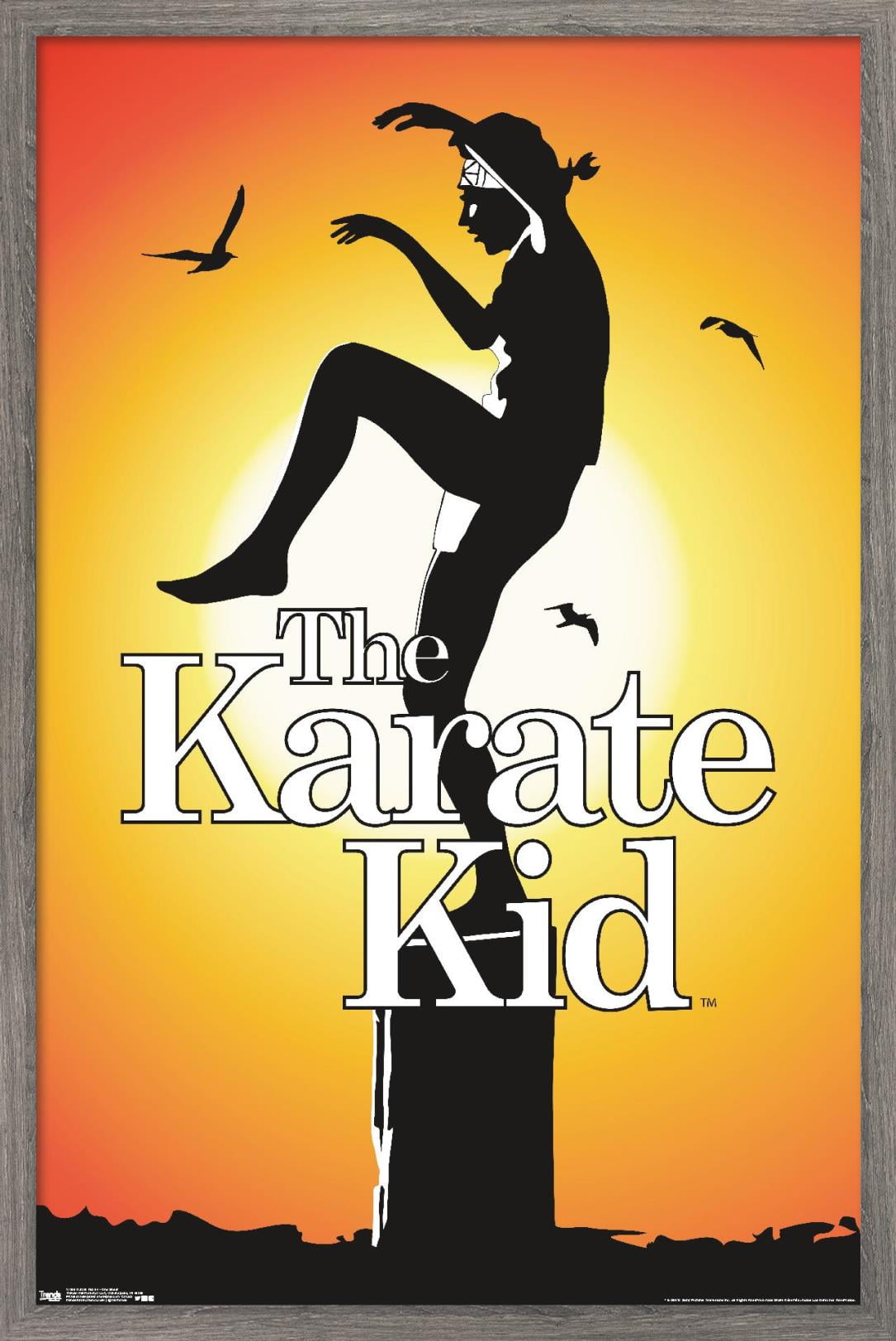 karate kid 1984 poster