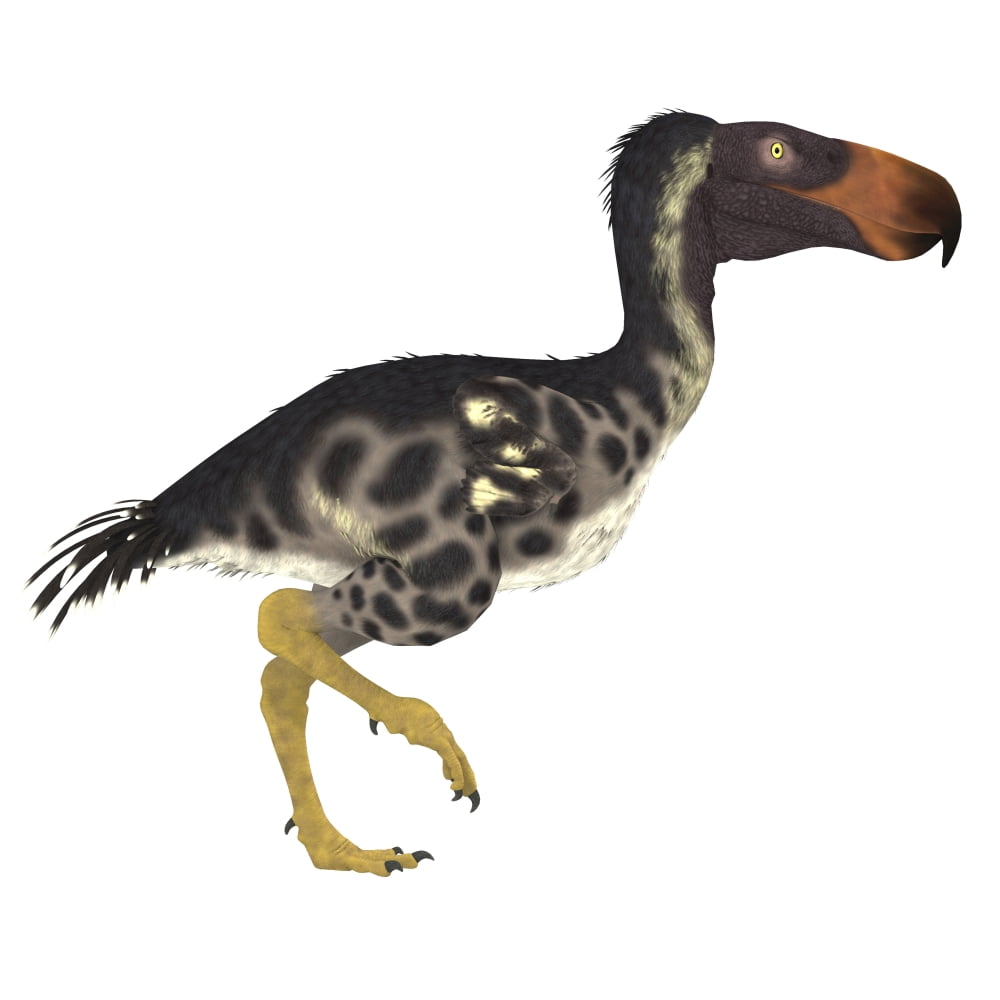 The Kelenken terror bird of Argentina Canvas Art - Corey FordStocktrek Images (29 x 29)