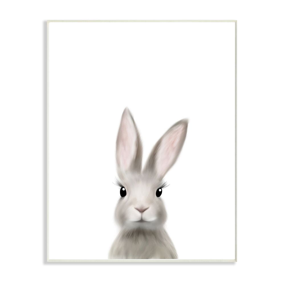 The Kids Room by Stupell Baby Bunny Animal Kids Painting Wall Plaque Art by Leah Straatsma
