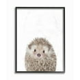 thumbnail image 1 of The Kids Room by Stupell Baby Hedgehog Animal Kids Painting Framed Giclee Texturized Art by Leah Straatsma, 1 of 3
