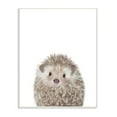 thumbnail image 1 of The Kids Room by Stupell Baby Hedgehog Animal Kids Painting Wall Plaque Art by Leah Straatsma, 1 of 3