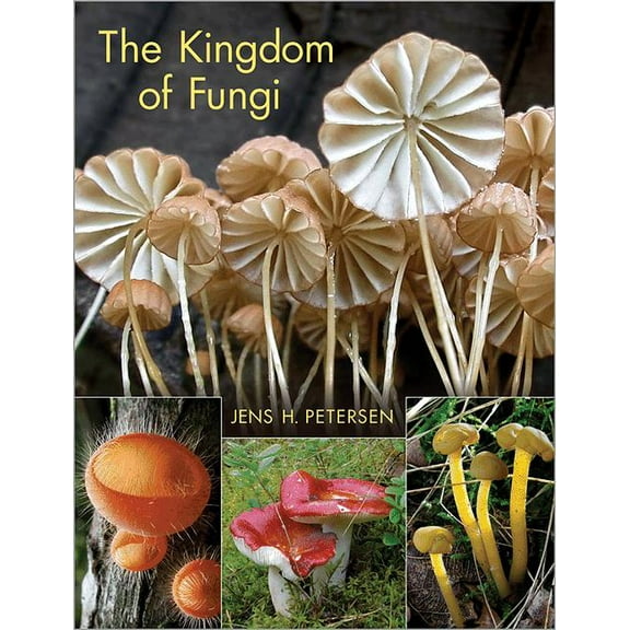 The Kingdom of Fungi, (Hardcover)