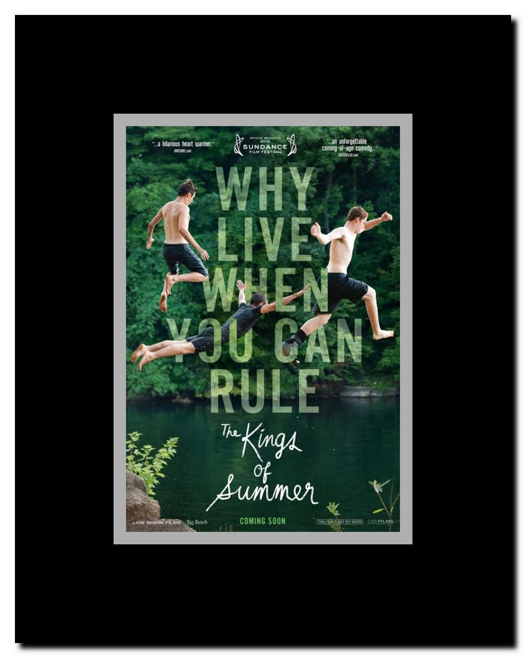 The Kings of Summer Framed Movie Poster