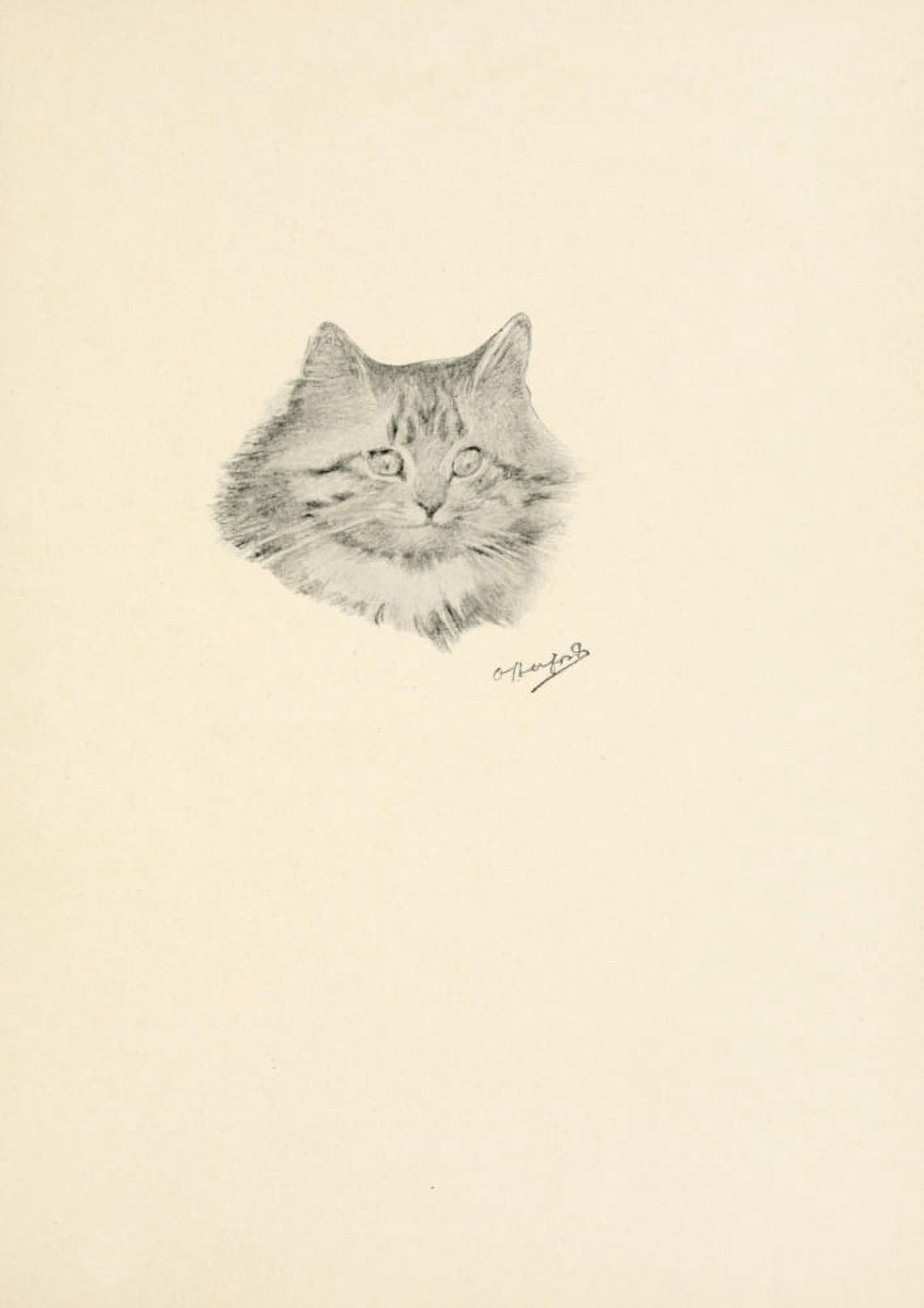 The Kittens Garden of Verses 1911 Cat portrait Canvas Art - Oliver Herford (18 x 24)