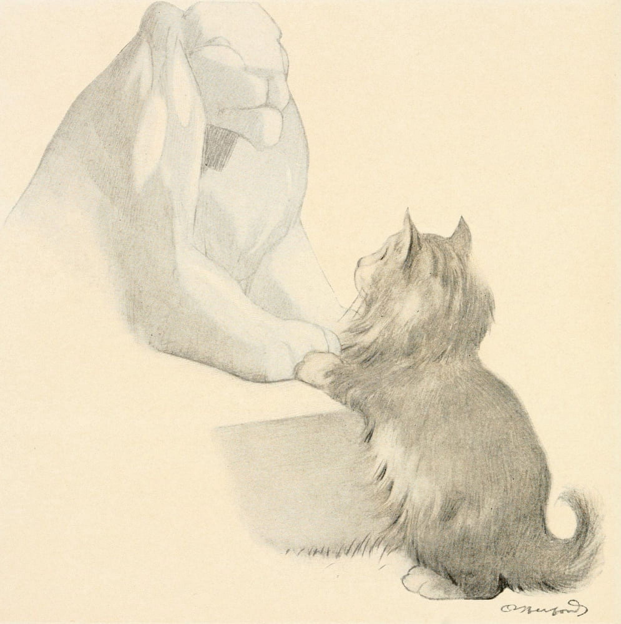 The Kittens Garden of Verses 1911 Handshake cat Canvas Art - Oliver Herford (18 x 24)