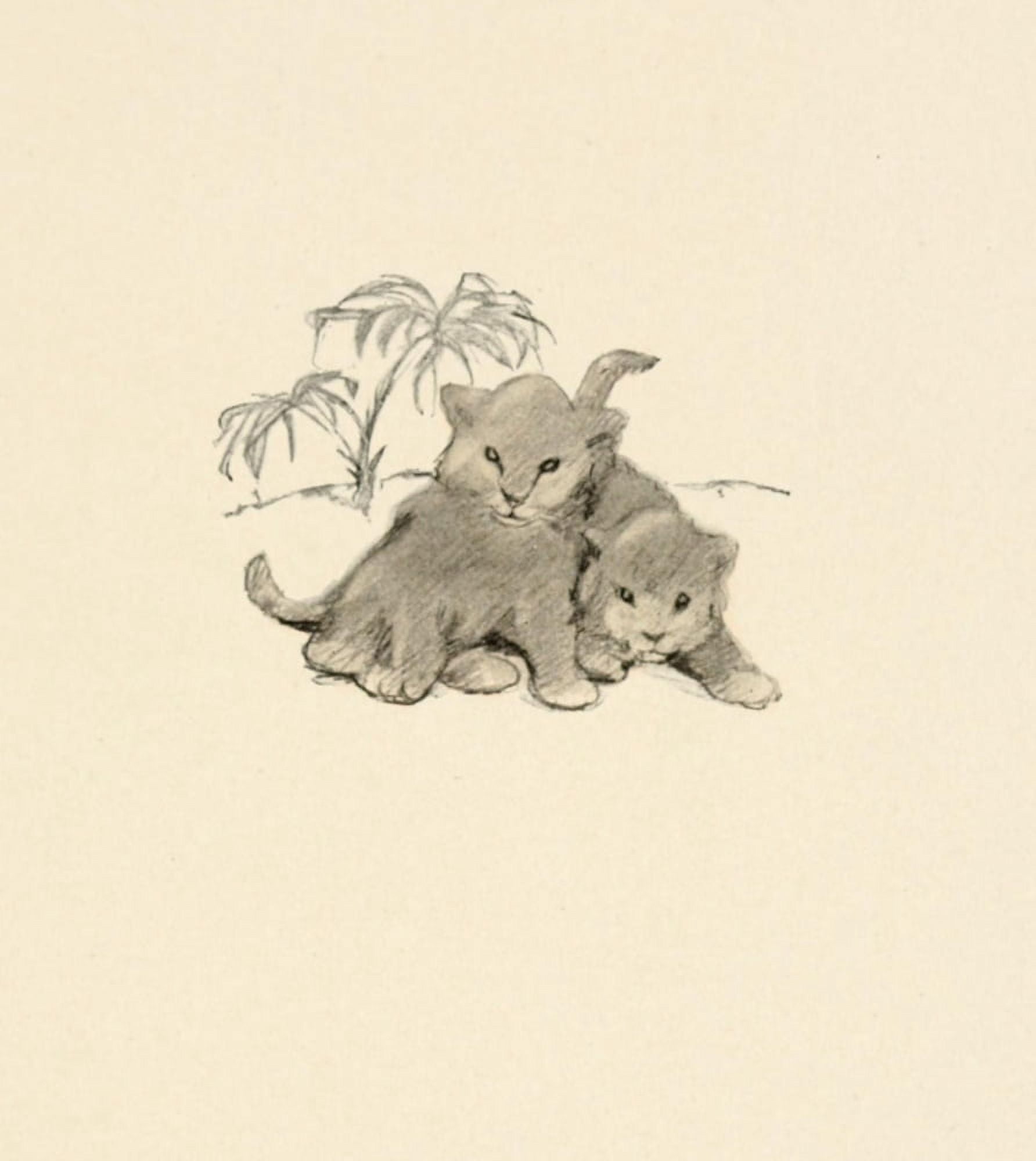 The Kittens Garden of Verses 1911 Palm tree cats Canvas Art - Oliver Herford (18 x 24)