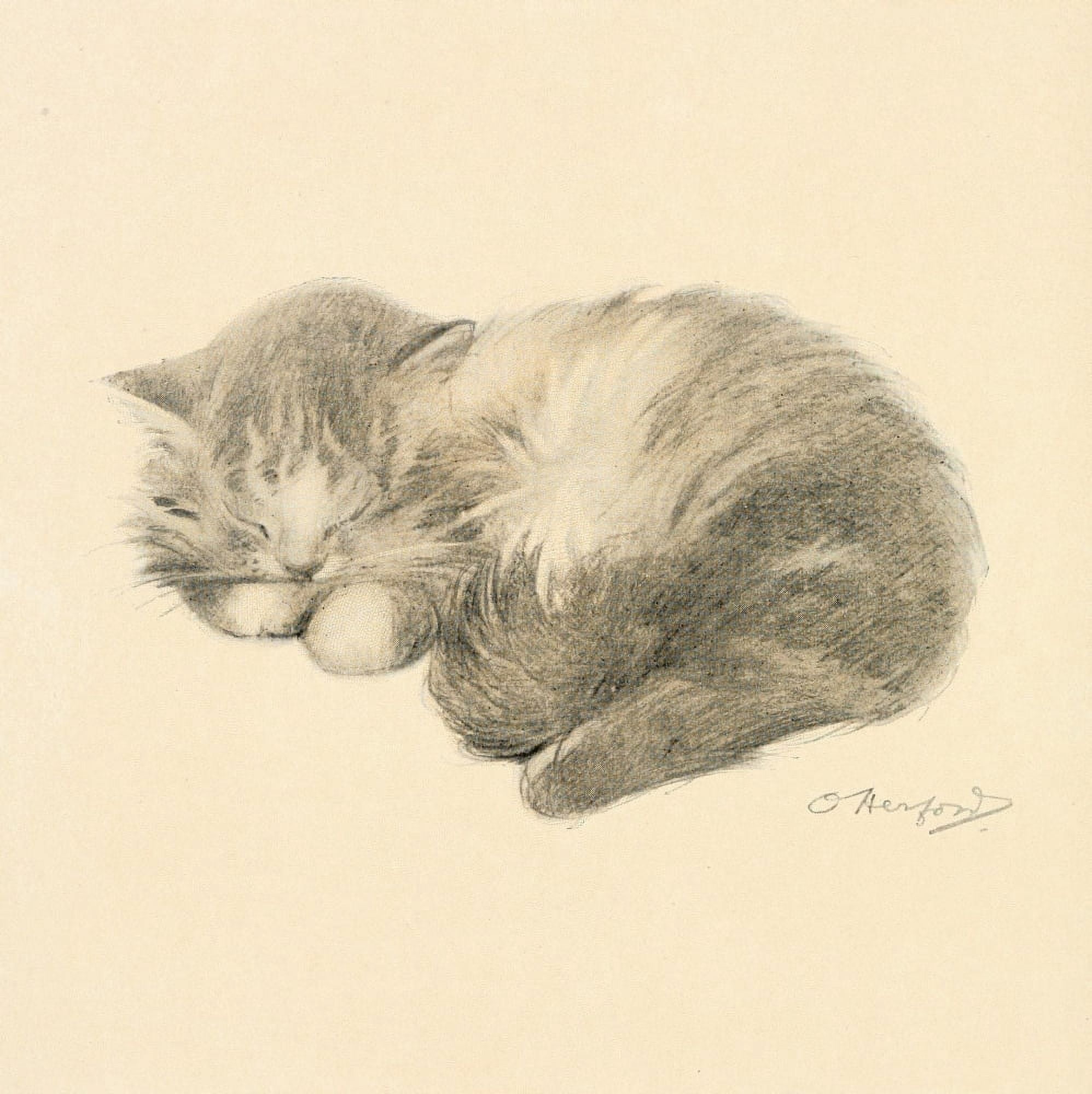 The Kittens Garden of Verses 1911 Sleeping cat Canvas Art - Oliver Herford (18 x 24)