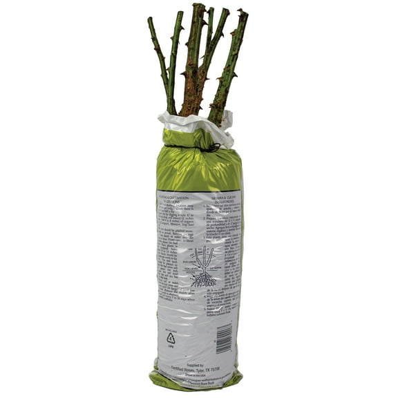 The Knock Out Family of Roses Solid Color Dormant Packaged Garden Rose Live Shrub (1-Each)