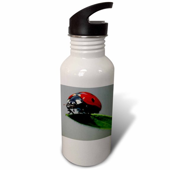 3dRose, The Ladybug - ladybug, macro, beetle, bug, insect, lady cow, lady fly, 21 oz Sports Water Bottle