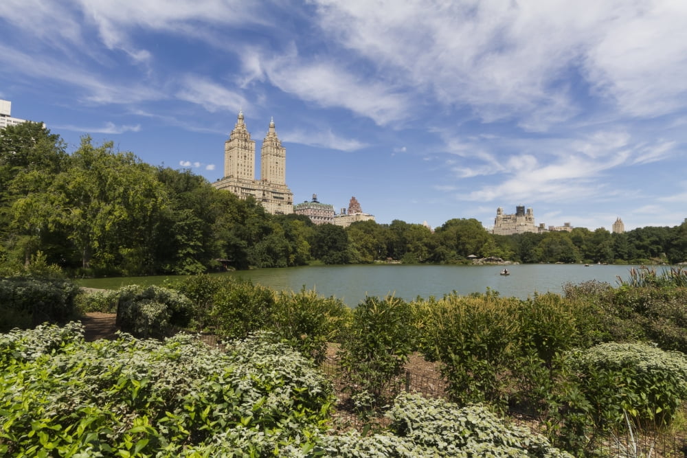 The Lake in Central Park New York City New York United States Canvas Art - Peter Langer Design Pics (19 x 12)