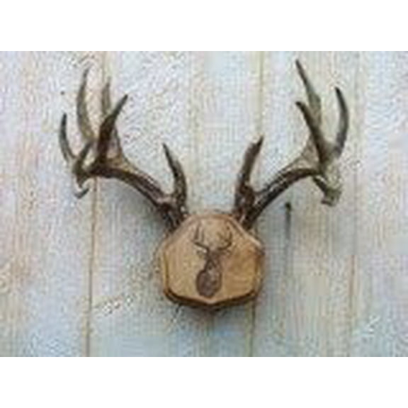 The Laser Engraved The Deer Stand Antler Mounting Kit