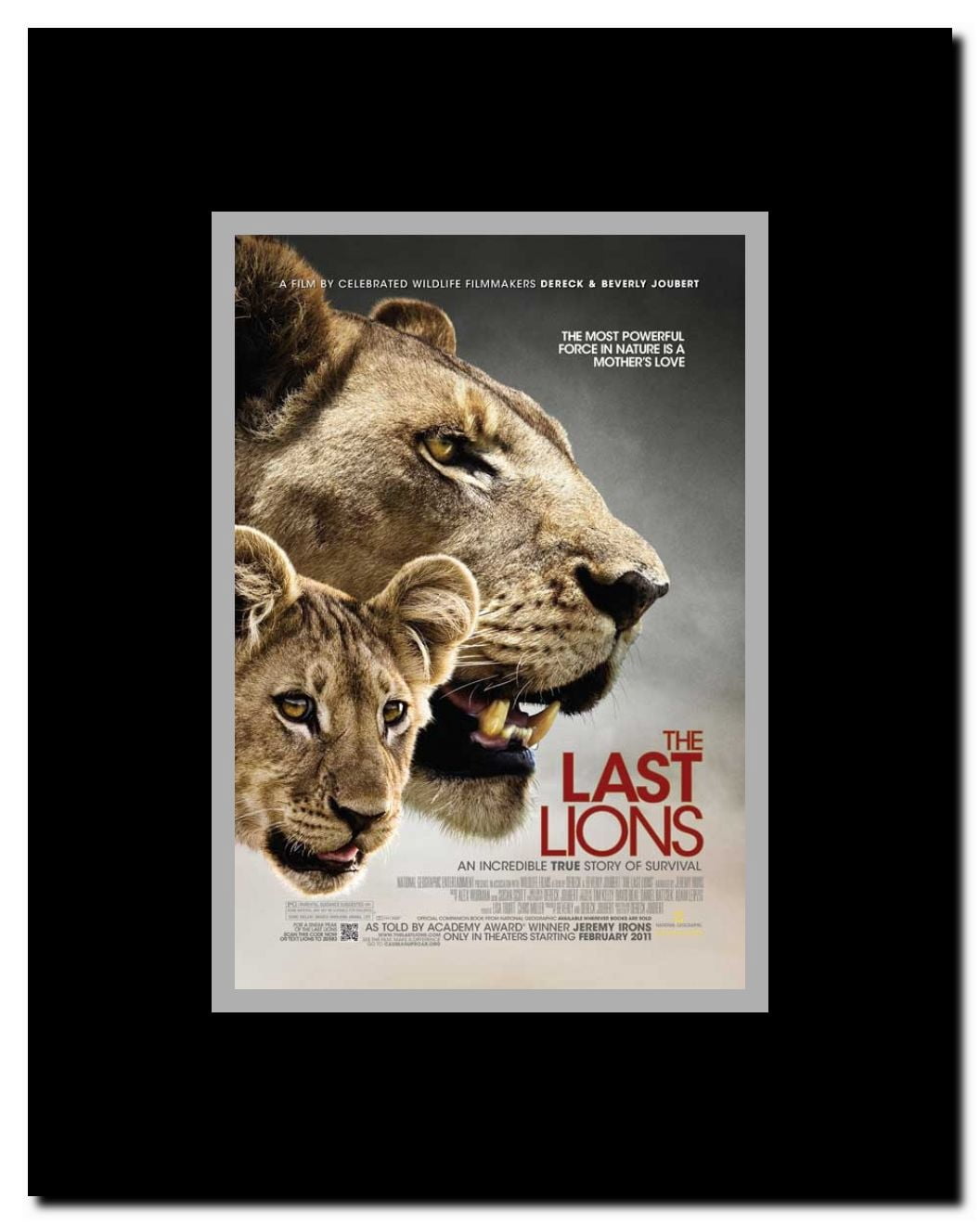 The Last Lions Framed Movie Poster