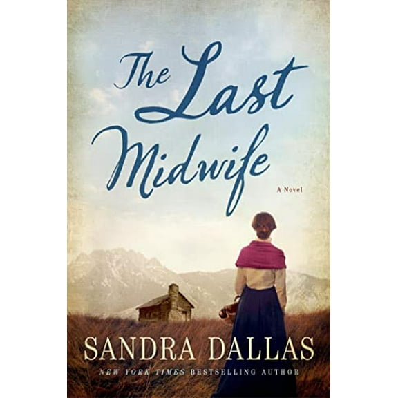 Pre-Owned The Last Midwife: A Novel (Hardcover) 1250074460 9781250074461
