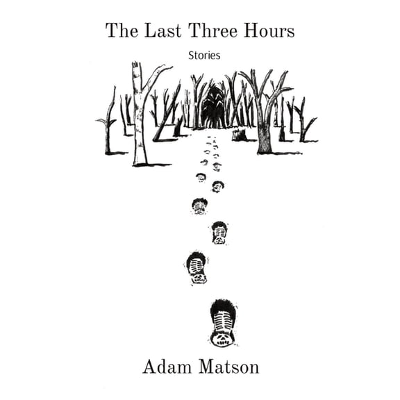 The Last Three Hours, (Paperback)