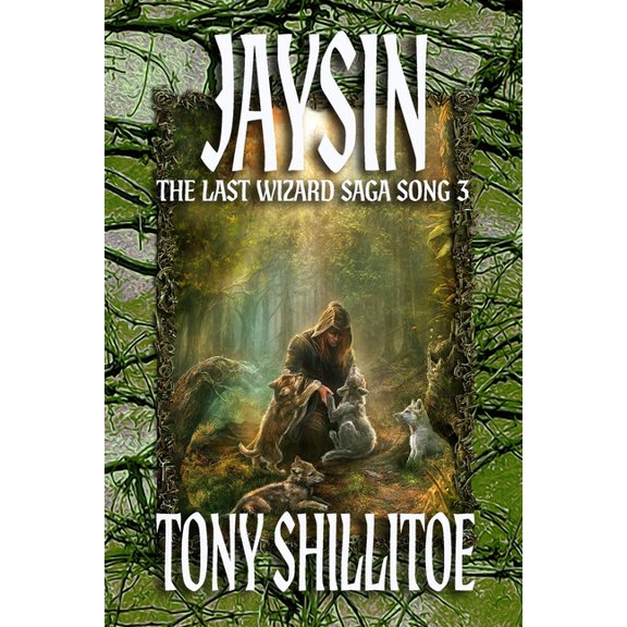 The Last Wizard Saga Jaysin: The Last Wizard Saga Song 3, Book 3, (Paperback)