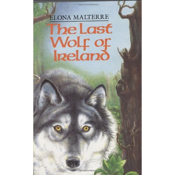 Pre-Owned The Last Wolf of Ireland (Hardcover) 0395543819 9780395543818
