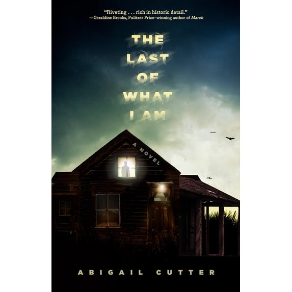 The Last of What I Am, (Paperback)