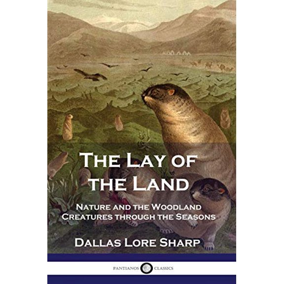 Pre-Owned The Lay of the Land: Nature and the Woodland Creatures through the Seasons (Paperback) 1789872189 9781789872187