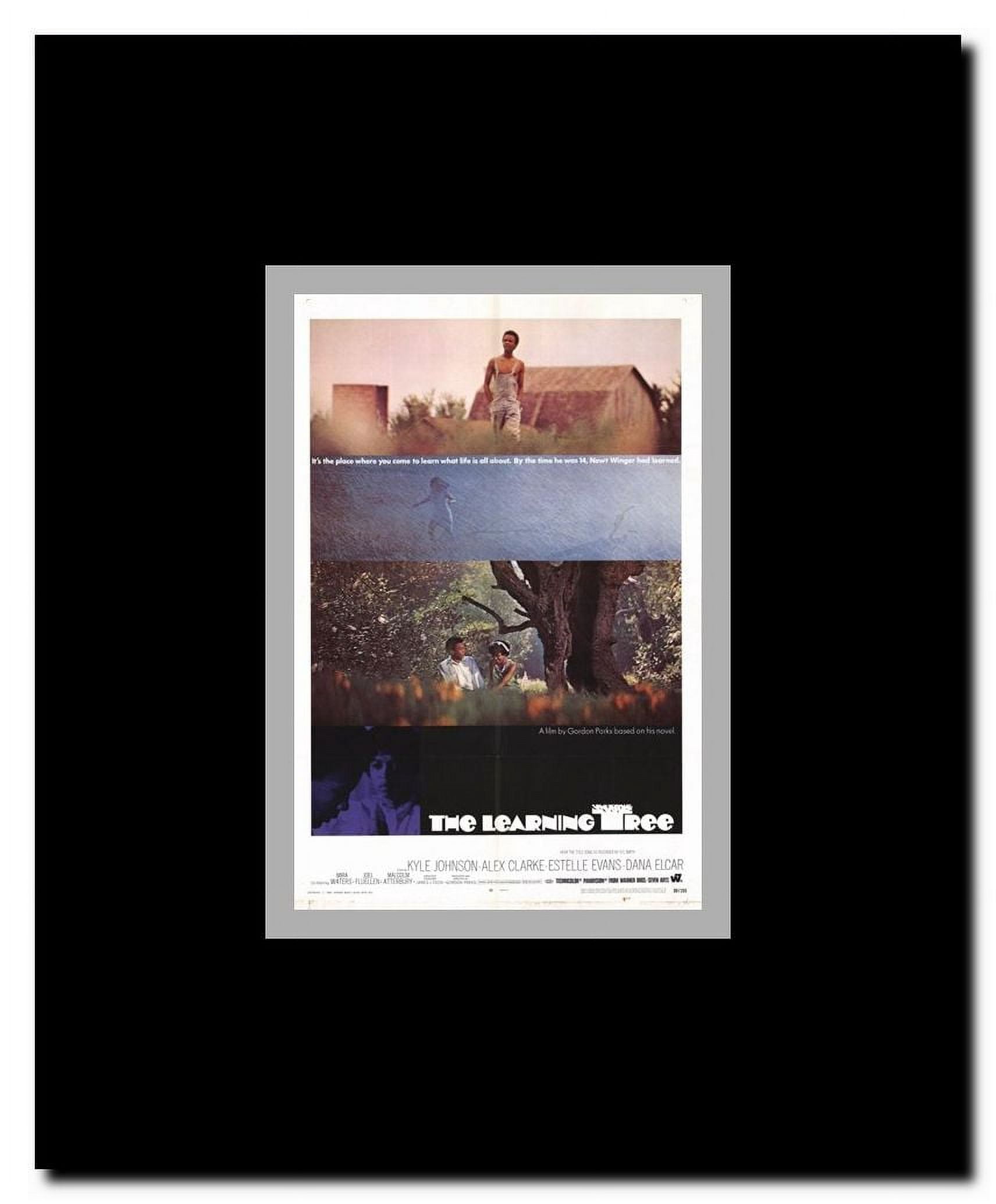 The Learning Tree Framed Movie Poster
