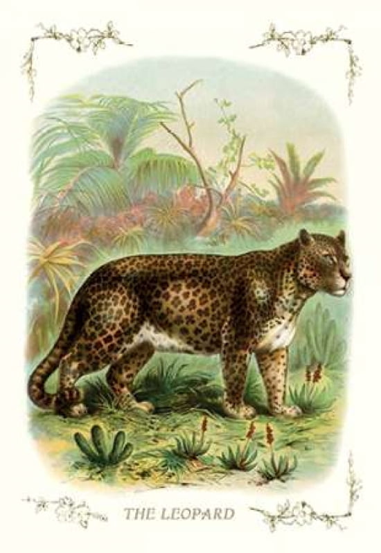The Leopard 1900 Canvas Art - Unknown (24 x 36)