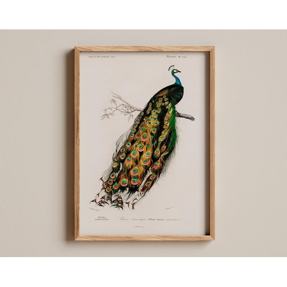 The Letter Thomas Dewing Vintage Poster Unframed Paper Print