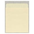 thumbnail image 1 of The Library Store Standard Peel and Stick Book Pockets 500 per Package, 1 of 3