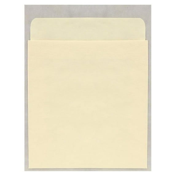 The Library Store Standard Peel and Stick Book Pockets 500 per Package