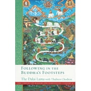 Library of Wisdom and Compassion Following in the Buddhas Footsteps, Book 4, Paperback