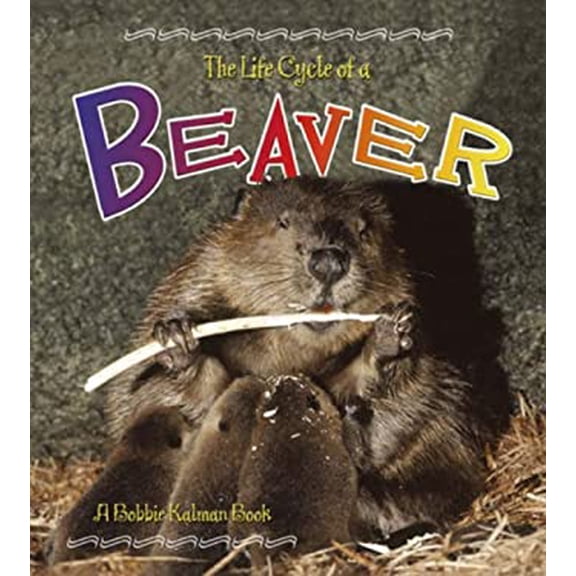 Pre-Owned Beaver (Hardcover) 0778706281 9780778706281