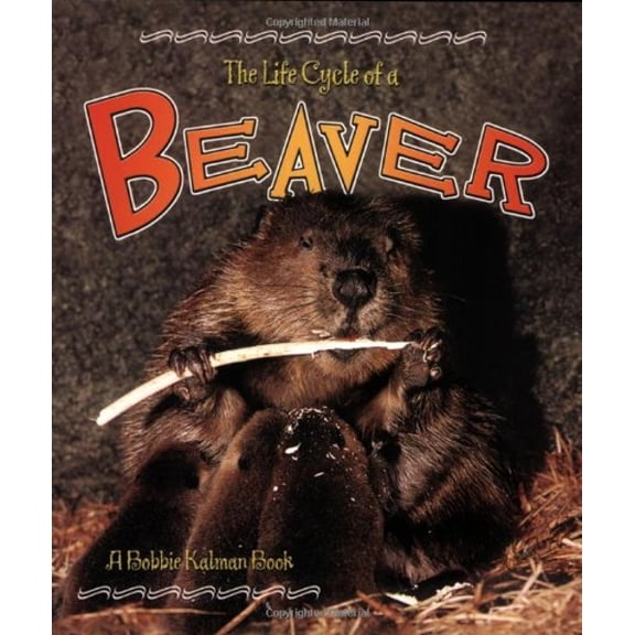 Pre-Owned Beaver (Paperback) 0778707024 9780778707028