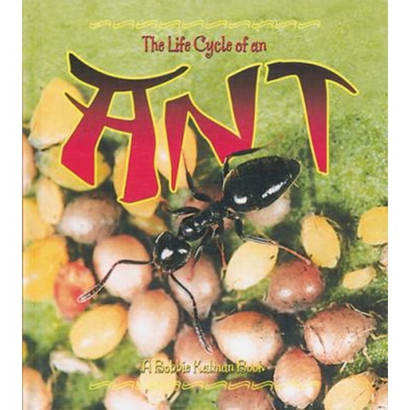 Pre-Owned The Life Cycle of an Ant, 9780778706700, 0778706702, Hardcover,