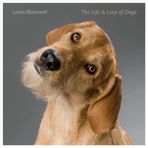 Pre-Owned The Life & Love of Dogs (Hardcover) 1419713930 9781419713934