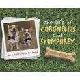 thumbnail image 1 of The Life of Corgnelius and Stumphrey: The Cutest Corgis in the World, 1 of 1