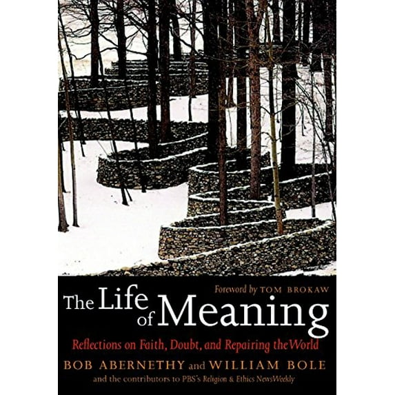Pre-Owned The Life of Meaning: Reflections on Faith, Doubt, and Repairing the World (Hardcover) 158322758X 9781583227589