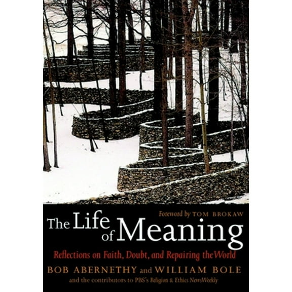 Pre-Owned The Life of Meaning: Reflections on Faith, Doubt, and Repairing the World (Hardcover) 158322758X 9781583227589
