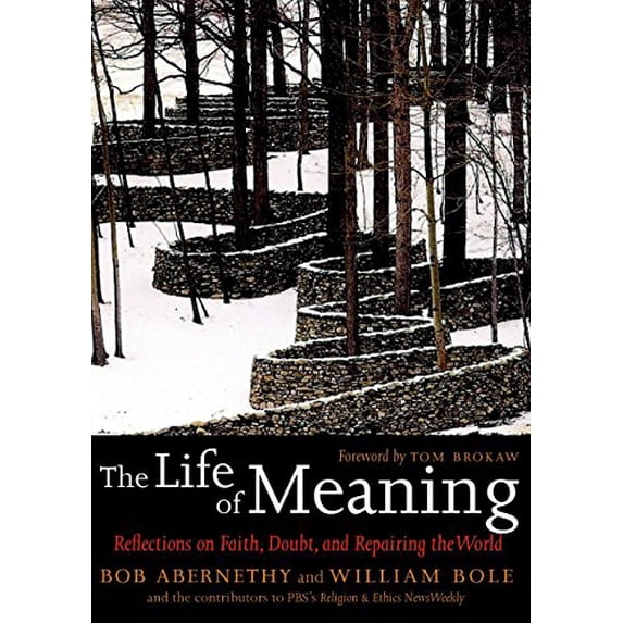 Pre-Owned The Life of Meaning: Reflections on Faith, Doubt, and Repairing the World (Paperback) 1583228292 9781583228296