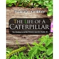 thumbnail image 1 of The Life Of A Caterpillar Workbook: The Healing Is In The Process and It's Worth It!, (Paperback), 1 of 1