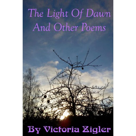 The Light Of Dawn And Other Poems (Paperback)