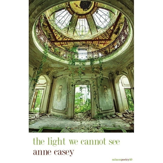 The Light We Cannot See (Paperback)