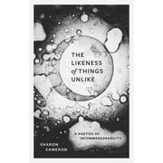 The Likeness of Things Unlike A Poetics of Incommensurability, Paperback