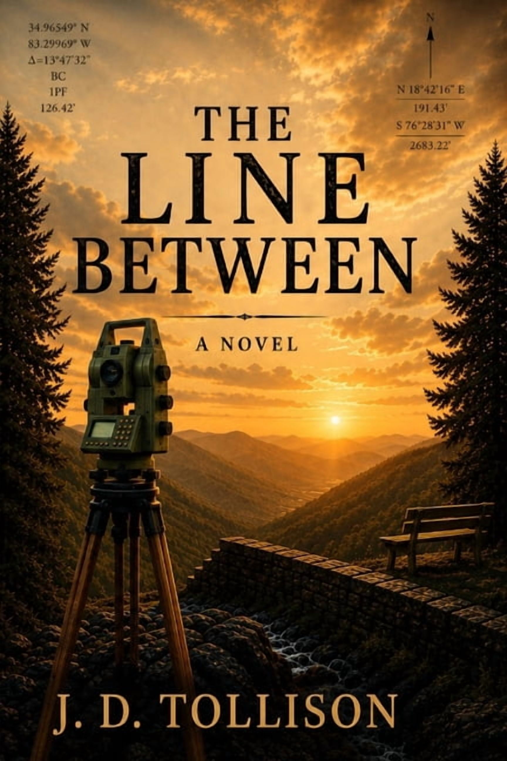 The Line Between, (Paperback)
