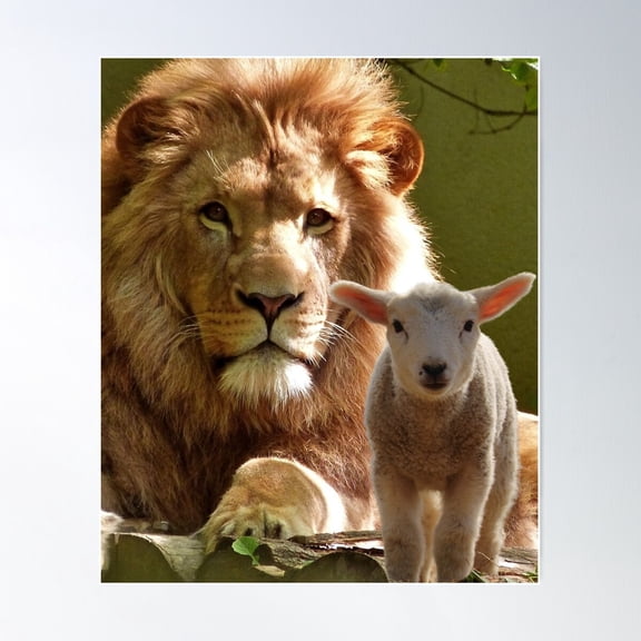 The Lion And The Lamb Poster Wall Art, Modern Wall Decor For Living Room Bedroom, 16x24 UNFRAMED
