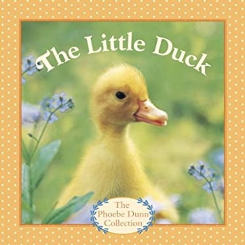 Pre-Owned The Little Duck (Board book) 0385385218 9780385385213