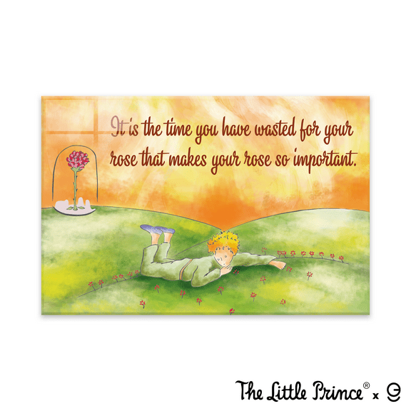 The Little Prince Acrylic Frame-Printing Artwork - Multiple Size Options (EGDLP035)