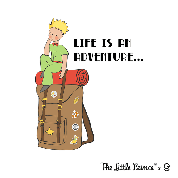 The Little Prince Wall Decal - EGD X The Little Prince - EGDLP038