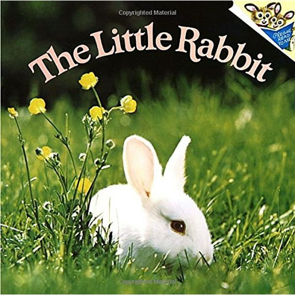 Pre-Owned The Little Rabbit (Paperback) 0394843770 9780394843773